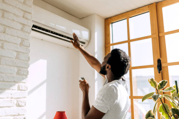 Best Affordable HVAC services  in Fennville, MI